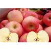 苹果粉  苹果喷雾干燥粉  苹果速溶粉  速溶食品饮料专用