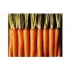 β-胡萝卜素，天然胡萝卜提取物，β-胡萝卜素的作用