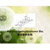白桦脂醇 桦木醇 Betulin 高纯标准品 百克现货 实验