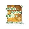 野生蘑菇 东北蘑菇 松树菇 香菇  纯野生 绝非养殖 假一罚百！