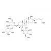 凤仙萜四醇苷G