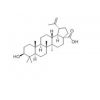 表白桦脂酸，Epibetulinic acid表白桦脂酸价格