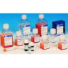 HRP 化学发光增强试剂盒（适用于Western, Southern 和Northern blot），以色列BI现货