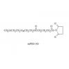 MPEG-SG甲氧基聚乙二醇-琥珀酰亚胺戊二酸酯修饰剂
