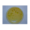 特价供应 LB(Luria-Bertani)培养基粉剂