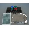 大鼠碳酸酐酶2价格CA-2 Elisa试剂盒价格|Kit说明书