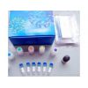 兔细胞核因子KB受体活化因子配体（RANKL)Elisa试剂盒