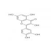 6151-25-3槲皮素生产厂家