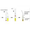 MycoSep228净化柱-美国进口