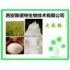 大米蛋白 粉 大米提取物 大米粉 原料萃取