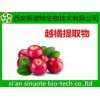 越橘提取物Bilberry Extract