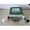 河鲀中河豚毒素ELISA检测试剂盒（Ounuo97001）
